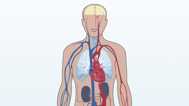 Hypothyroidism related image